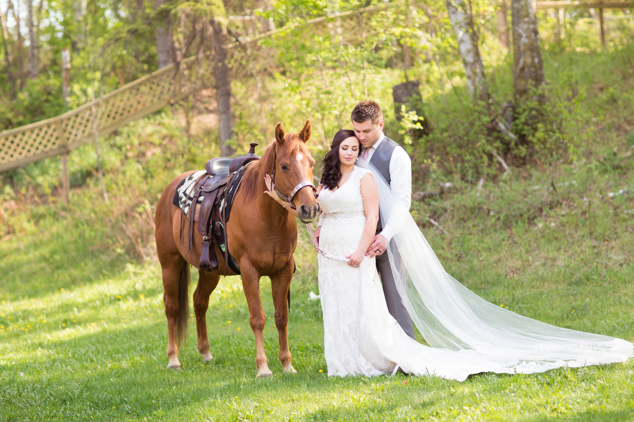 blue meadows wedding photos with horse