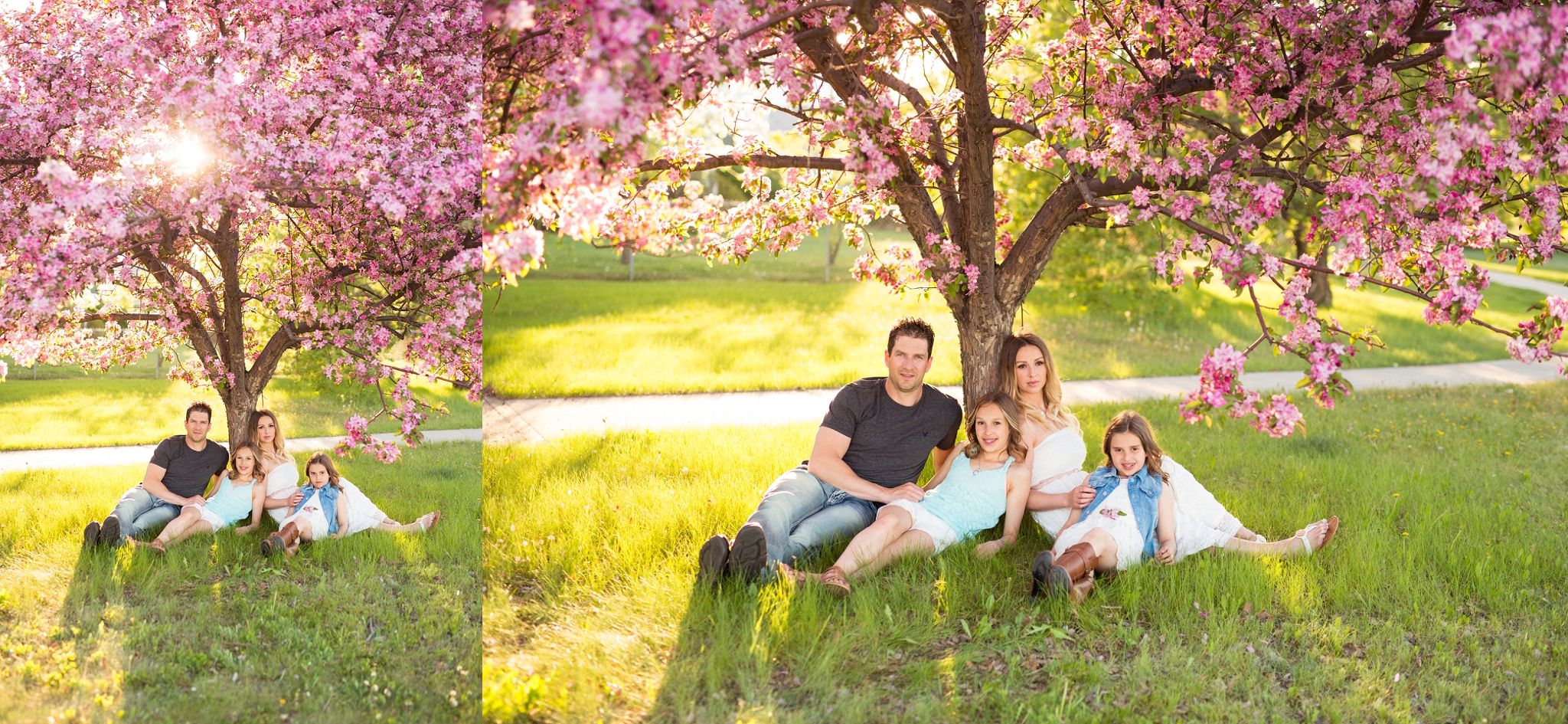 edmonton cherry blossom family photos