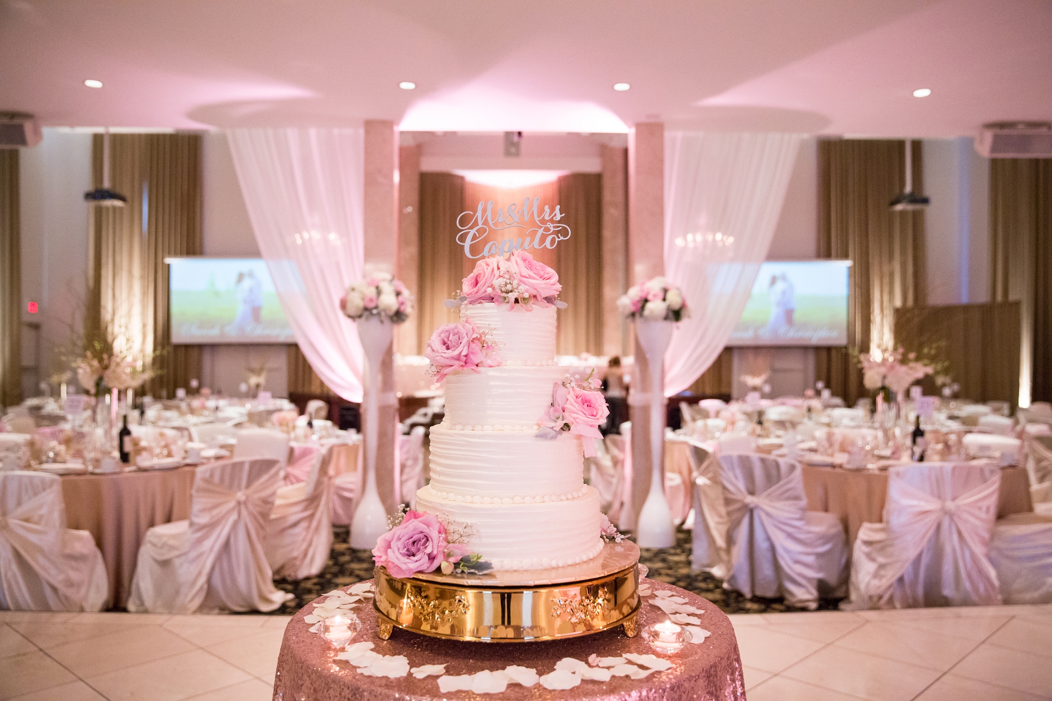 the oasis centre wedding photos art of cake