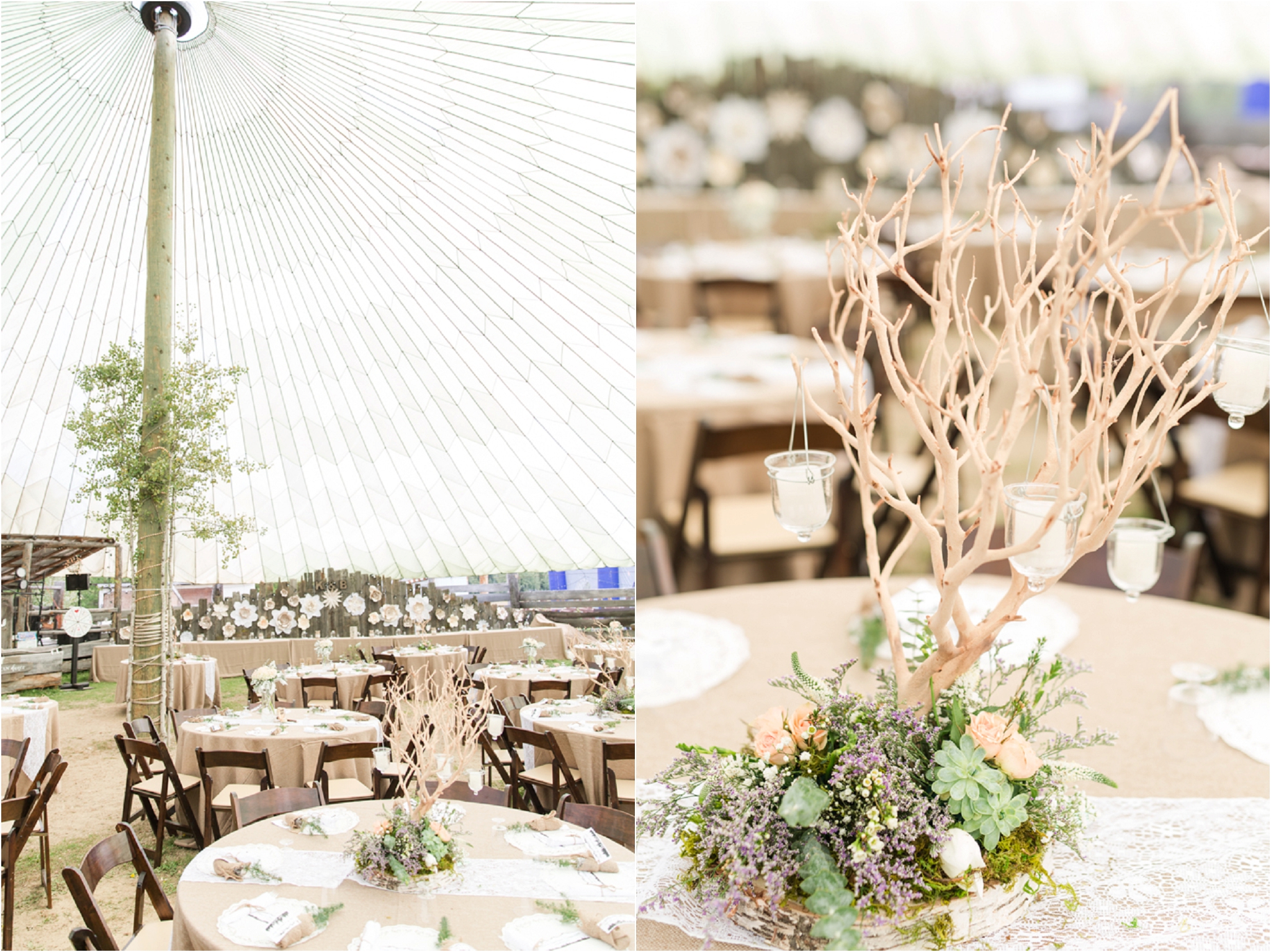 tented reception, mountain wedding photos, valemount