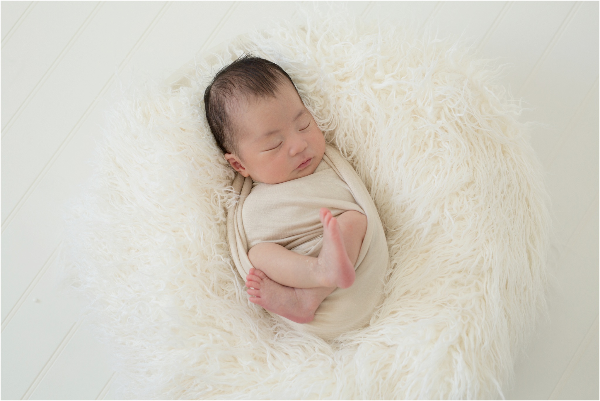 edmonton newborn photographer nc photography