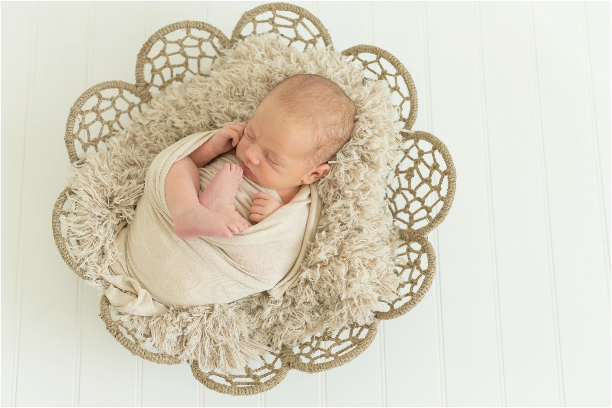 Edmonton Newborn Photos nc photography baby girl