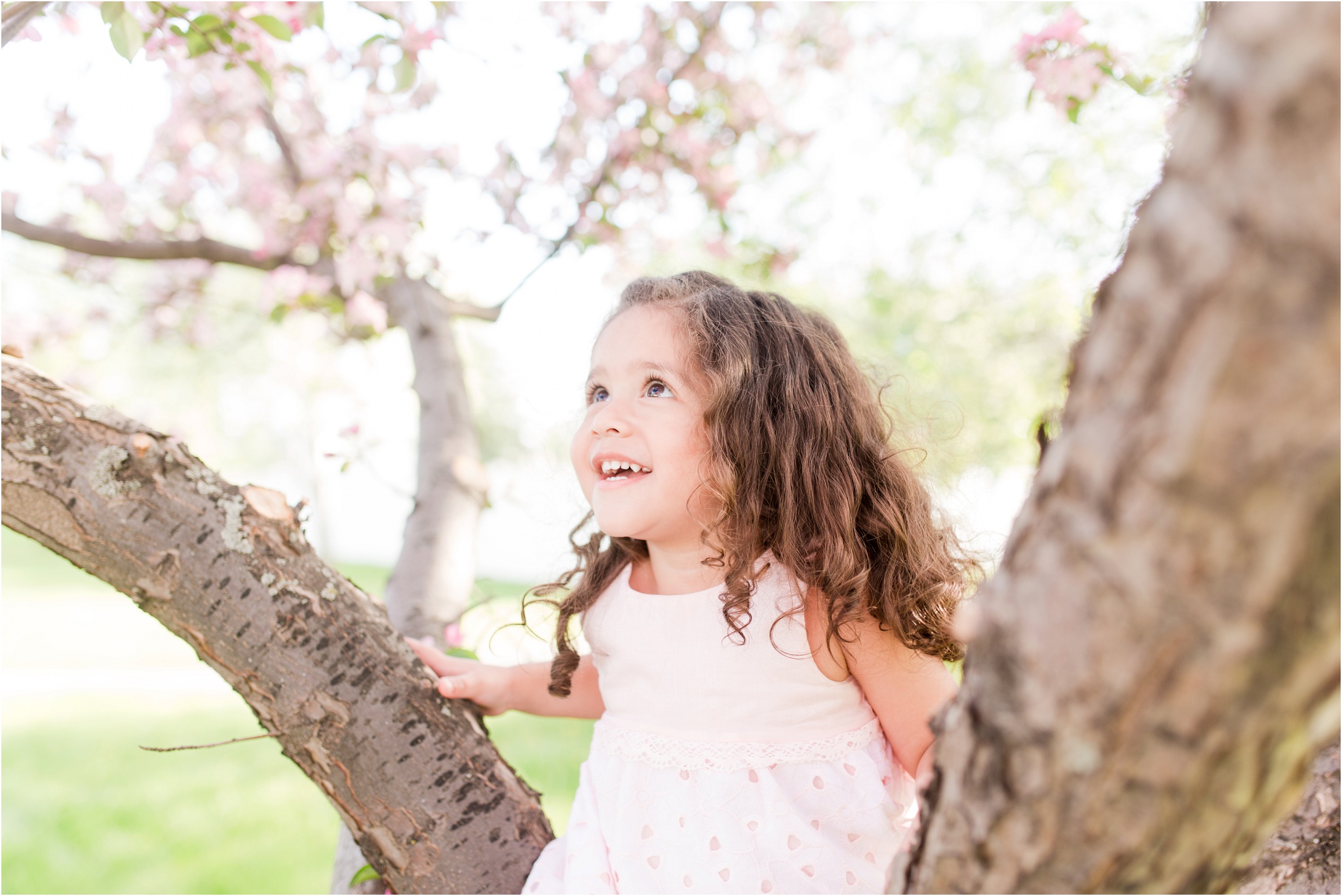 family photos, nc photography, edmonton family photographer, cherry blossom photos