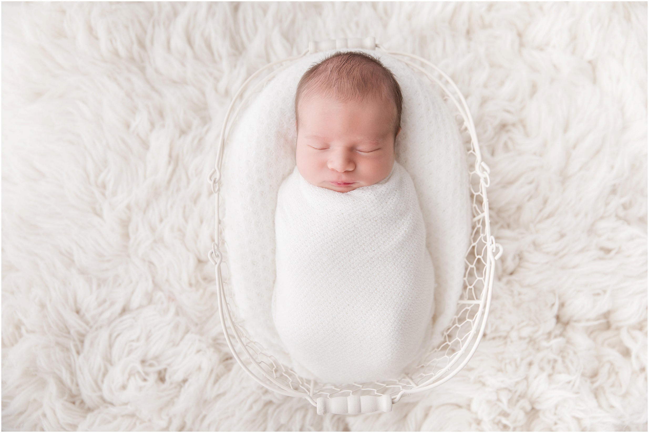 edmonton newborn photographer, nc photography, st albert newborn photographer, edmonton newborn photographers