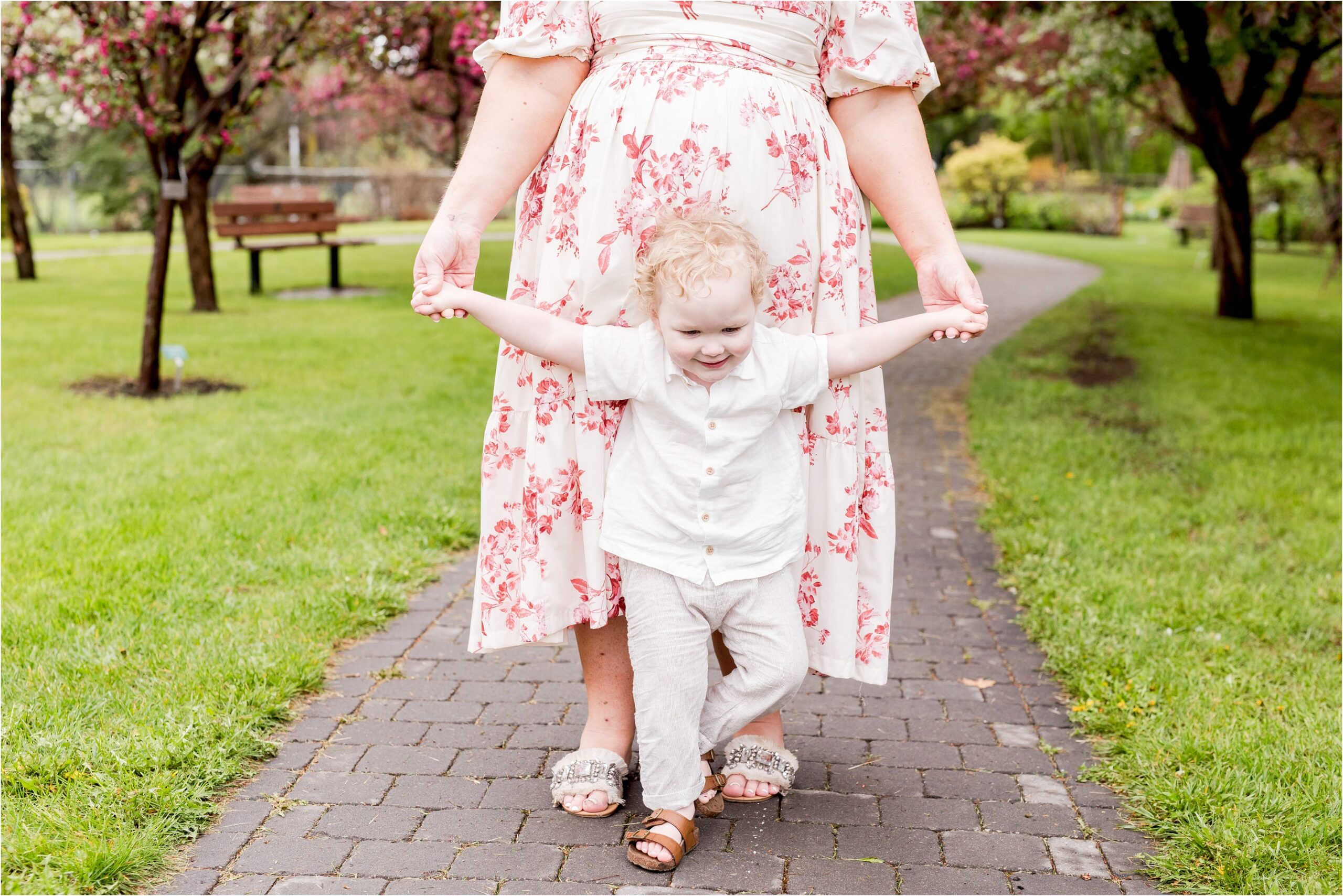 edmonton maternity photos, edmonton maternity photographer, edmonton newborn photography, nc photography, blossom photos edmonton, st albert maternity photos