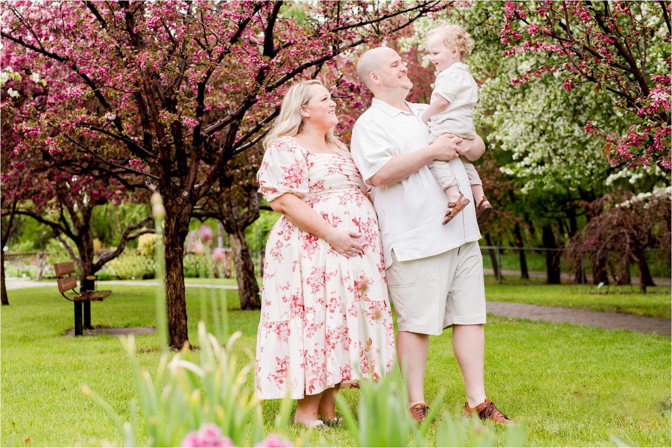 edmonton maternity photos, edmonton maternity photographer, edmonton newborn photography, nc photography, blossom photos edmonton, st albert maternity photos