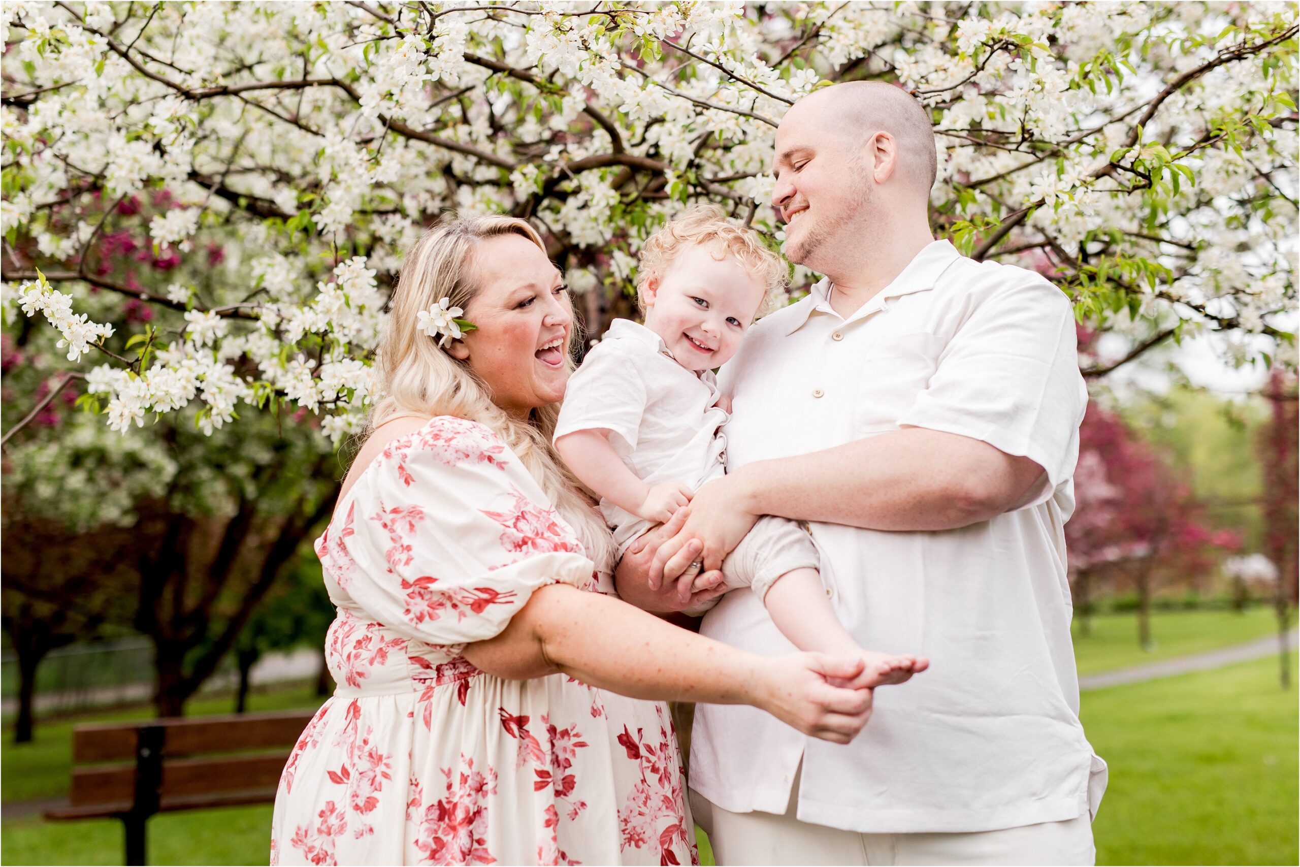 edmonton maternity photos, edmonton maternity photographer, edmonton newborn photography, nc photography, blossom photos edmonton, st albert maternity photos