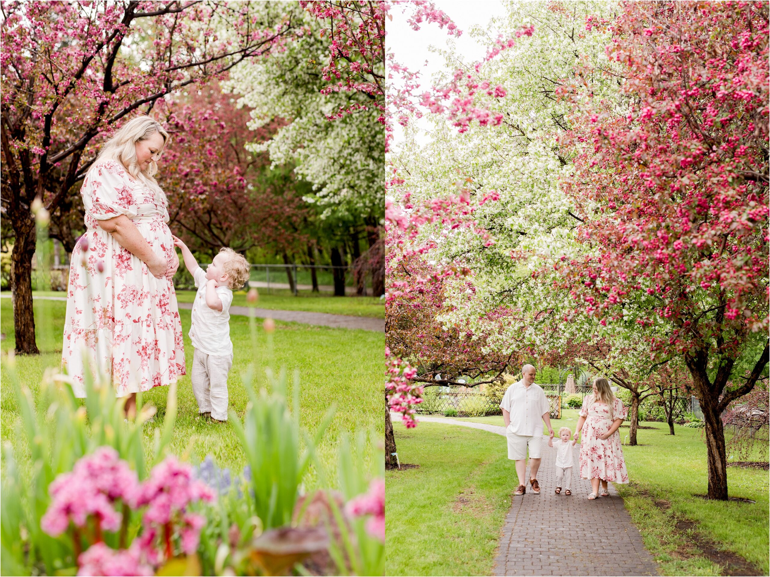 edmonton maternity photos, edmonton maternity photographer, edmonton newborn photography, nc photography, blossom photos edmonton, st albert maternity photos